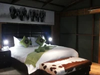 Dima Bush Camp 