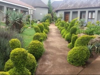 Nongoma Lodge & Inn CC 