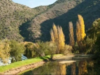 Old Mill Lodge & A la Carte Restaurant 