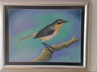 Feather Nest B&B 