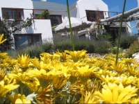 Farr Out Guest House 