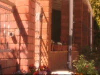 Anker Guesthouse 