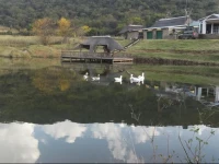 Emahlathini Guest Monkey Farm 