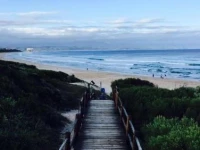 Pladda in Plett 