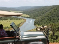 Mansfield Game Reserve 