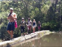 Jungle Monkey Backpackers 