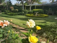 Royal Ridge Guesthouse 