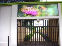 Honey Bee Guesthouse 