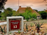 Elephant Point Unit No. 13 - Ndlophu Lodge