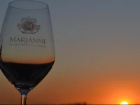 Marianne Wine Estate 