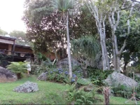 Bushbaby Suite 