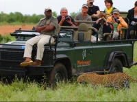 Motswari Private Game Reserve 