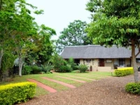 Palmwag Tzaneen 