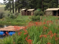 Little Wing Teepee Camp 