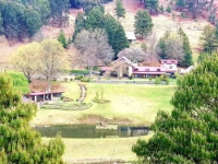Malachite Manor 