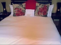 Silver Bull Guesthouse 