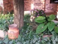 Vaal River Guest House 