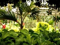 De Charmoy Estate Guest House 3*