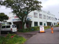 Hallasan Guesthouse 1*