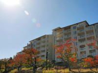 Mauna Ocean Resort