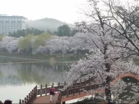Gyeongju Tiamo Pension 