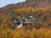 Chalet Resort