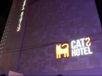 Cats Hotel Suwon 3*