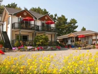 Sky Pension 