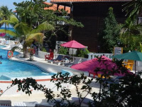 Mangos Jamaica