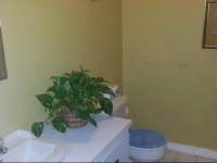 Breamar Suite
