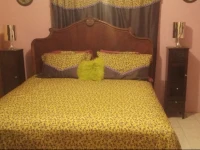 Paradise Nest 