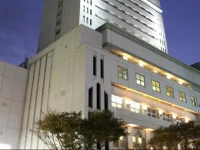Shin Yokohama Grace Hotel 3*