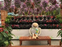 Kakegawa Station Hotel 3*