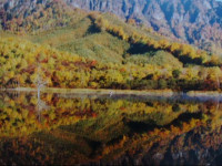 Togakushi- Kogen Minshuku Rindo
