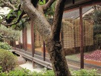 Guesthouse Nara Backpackers