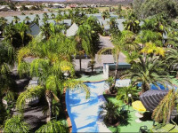 Desert Palms Alice Springs