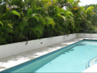 Cilento Mooloolaba