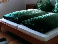Apartment Dachstein 