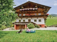 Apartment Inneralpbach 