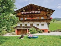 Apartment Inneralpbach II 