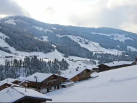 Bergblick 