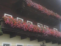 GГ¶ttfriedbauer 