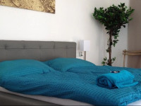 Apartment Parkvilla Traunsee