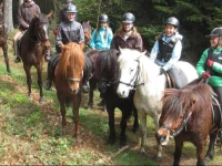 Pferdehof Koaser Minerl 