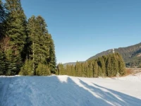 Chalet Alpendorf Dachstein West 
