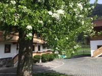 Martlerhof 
