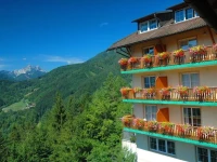 Hotel Berghof Brunner 4*