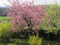 Pension Maria Wallner 
