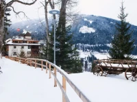 Alpine Spa Hotel Haus Hirt 