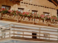 Ferienwohnung Haus Dachsteinblick 